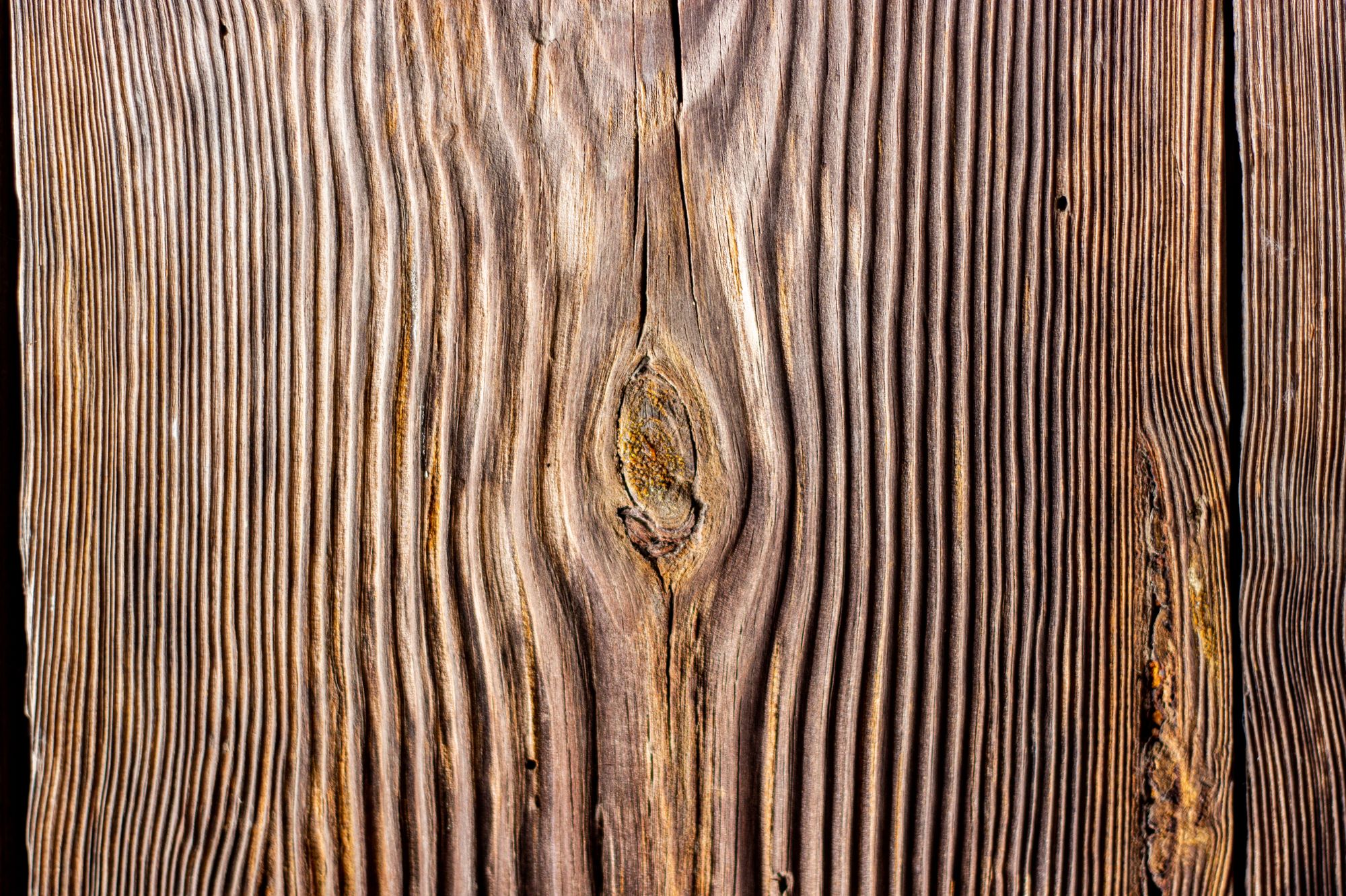 Close-up of rift-cut oak grain being hand-checked before finishing