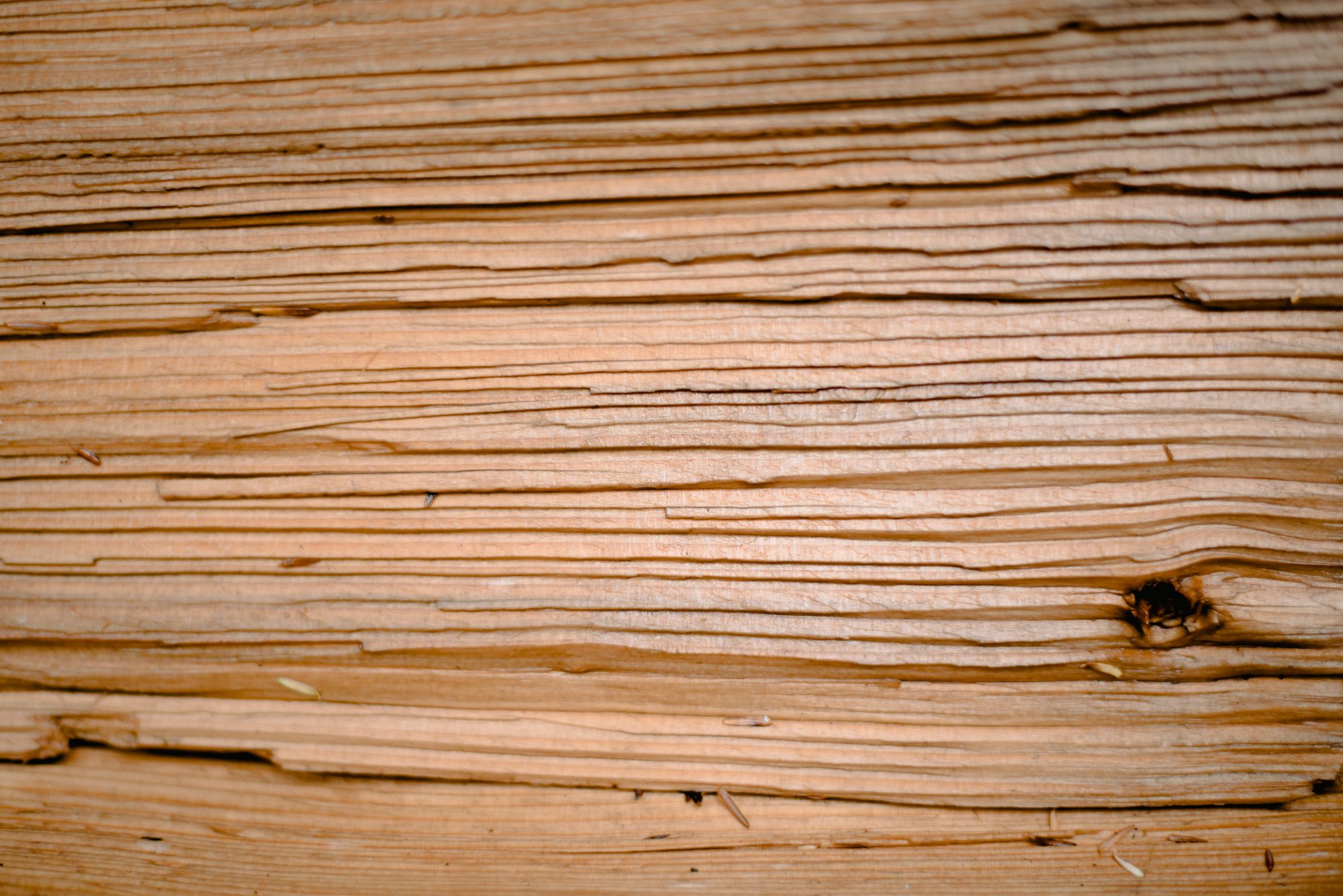 Book-matched veneer sheets laid out for sequencing on the shop bench